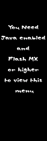 Download Flash MX (6)